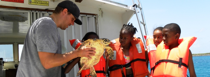 Learn about endangered sea turtles up close.
